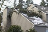 Winter storm damage: tree branch on snow-covered house roof.